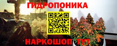 гидра Балахна