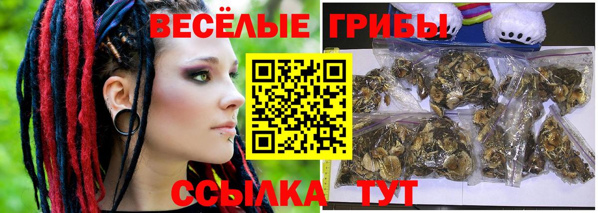 где найти наркотики  Вход с VPN  Ефремов  Галлюциногенные грибы GOLDEN TEACHER 